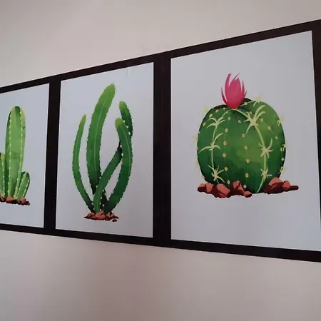 Nuevo Con Encanto *