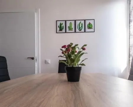 Apartment Nuevo Con Encanto *